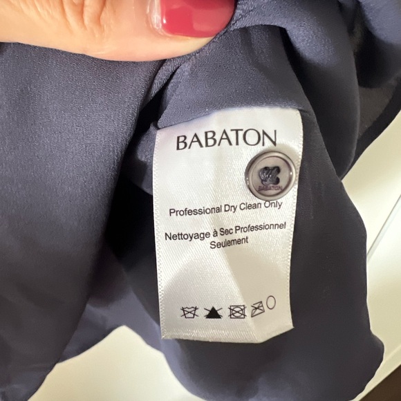 100% silk Babaton Dress - Picture 5 of 5